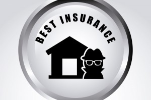 homeowners insurance burglar